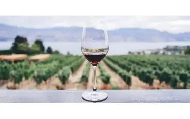 Adding an Ontario Wine to a West Coast Day-My Wine Canada