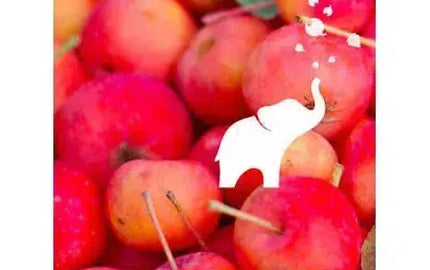 Bubbles and More from Elephant Island Orchard Wines-My Wine Canada