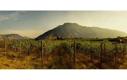 Canadian Winery Spotlight: Clos du Soleil-My Wine Canada