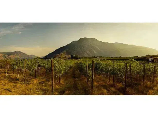 Canadian Winery Spotlight: Clos du Soleil-My Wine Canada