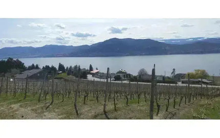 Canadian Winery Spotlight: Elephant Island Orchard Wines-My Wine Canada