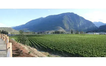 Canadian Winery Spotlight: Fort Berens Estate Winery-My Wine Canada