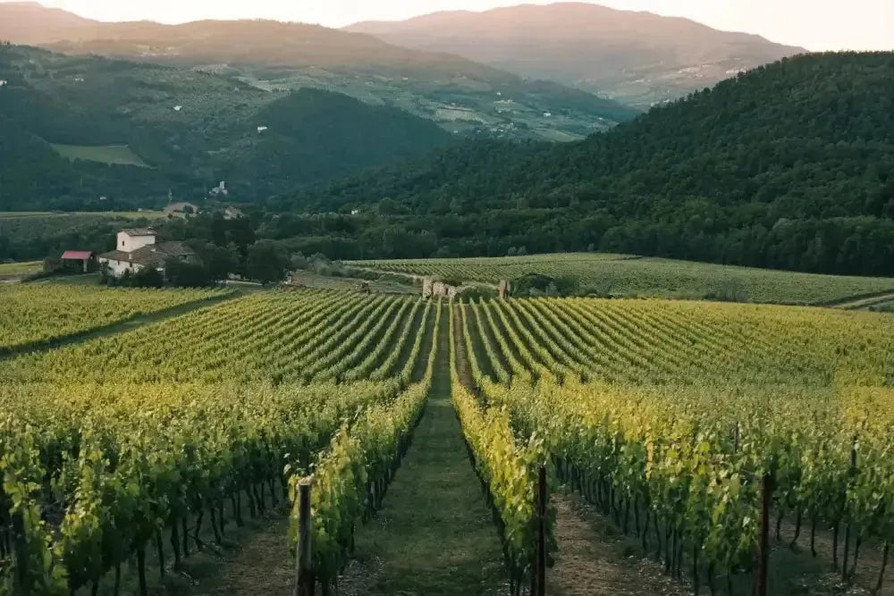Canadian Winery Spotlight: Harper's Trail-My Wine Canada