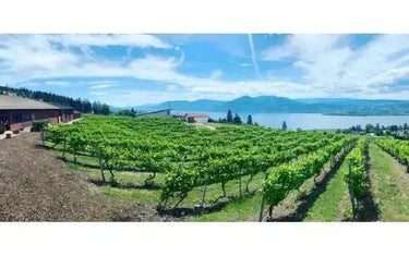 Canadian Winery Spotlight: Lang Vineyards-My Wine Canada