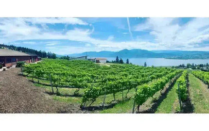 Canadian Winery Spotlight: Lang Vineyards-My Wine Canada