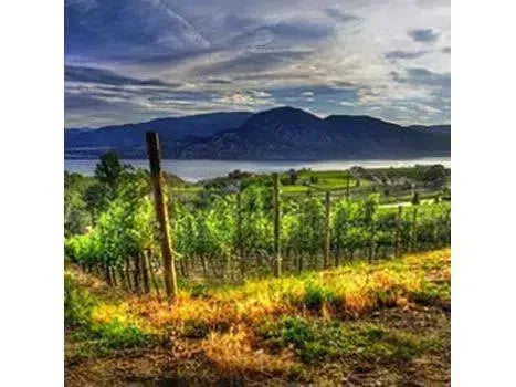Canadian Winery Spotlight: Laughing Stock Vineyards-My Wine Canada