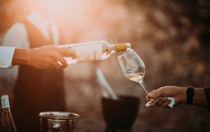 Canadian Winery Spotlight: Orofino Vineyards-My Wine Canada