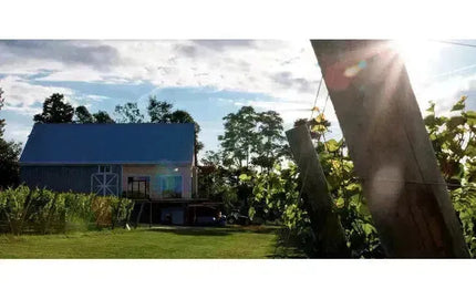 Canadian Winery Spotlight: Planters Ridge-My Wine Canada