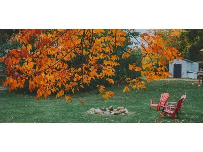 Canadian Winery Spotlight: Prince Edward County-My Wine Canada