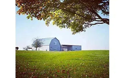 Canadian Winery Spotlight: Rosehall Run-My Wine Canada