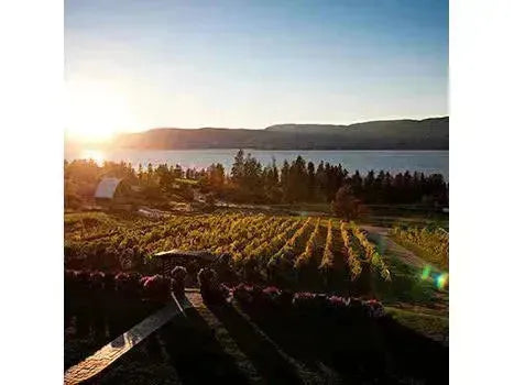 Canadian Winery Spotlight: Summerhill’s Organic Wines-My Wine Canada