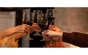 Fall Wines Under $20-My Wine Canada