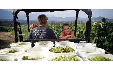 Free Shipping from Sperling Vineyards-My Wine Canada