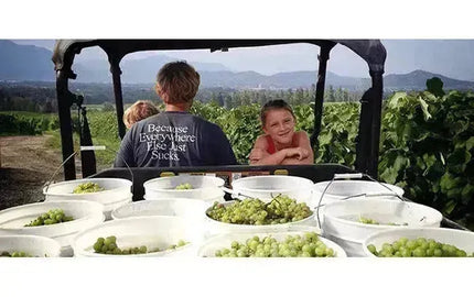 Free Shipping from Sperling Vineyards-My Wine Canada