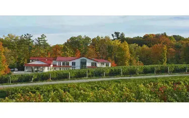 Kacaba Vineyards: Niagara’s Handcrafted Wine Mastery-My Wine Canada