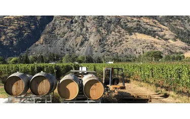 Little Farm Winery: The Art of Small Batch Wines in Similkameen-My Wine Canada