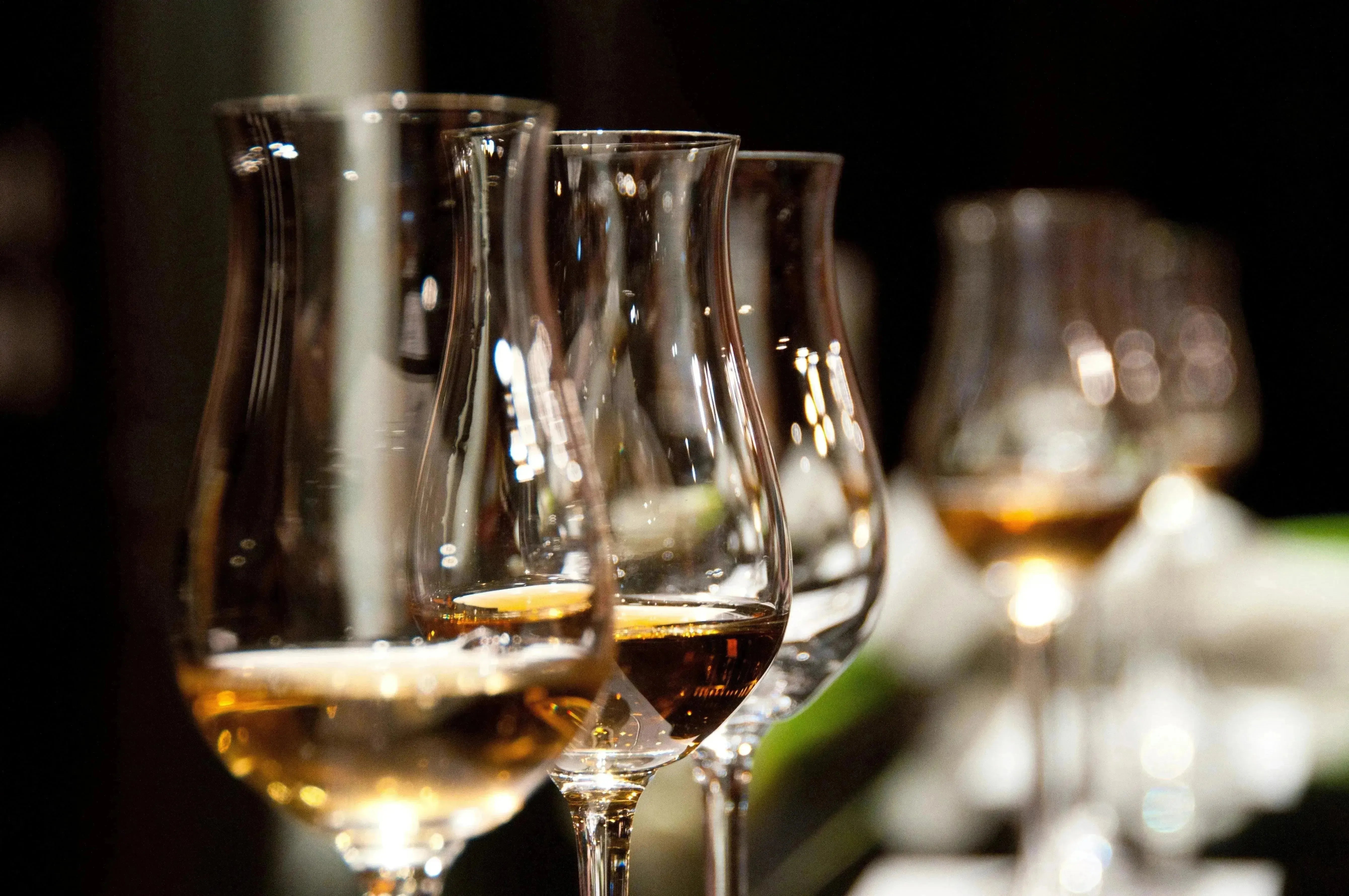 My Wine Canada Wine Club Feature: PondView Estate Winery-My Wine Canada