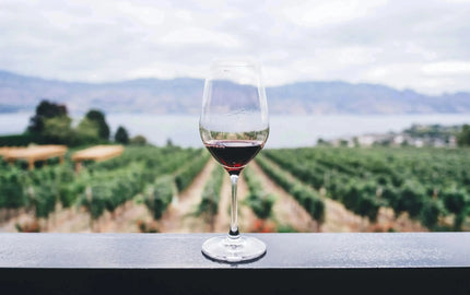 Pair It Up! Empanada Edition-My Wine Canada