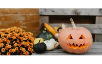 Pair It Up! Let Them Eat Cake…On Halloween-My Wine Canada