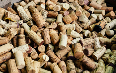 Pair It Up! Modern Vietnamese-My Wine Canada