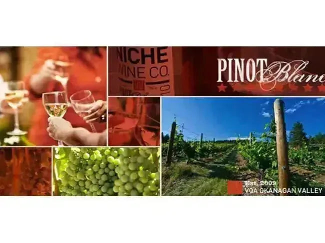 Pair It Up! Niche Wine & Picnic Fare-My Wine Canada