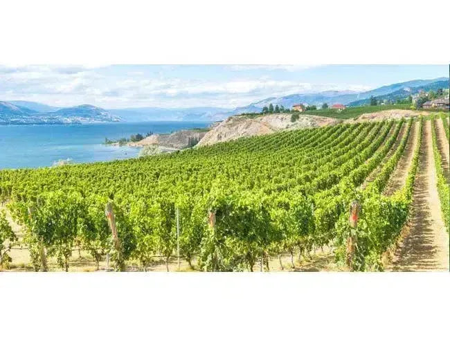 The Okanagan, North to South-My Wine Canada