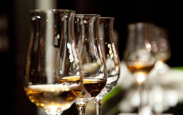 Top Wine Picks! Canada Day BBQ Whites-My Wine Canada