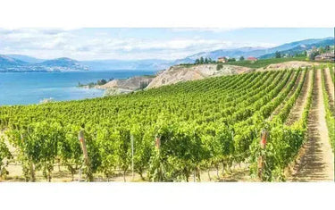 Top Wine Picks! Looking Beyond The Okanagan Valley-My Wine Canada