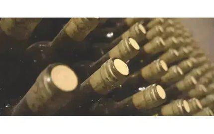 Top Wine Picks! Small Lot Wines-My Wine Canada