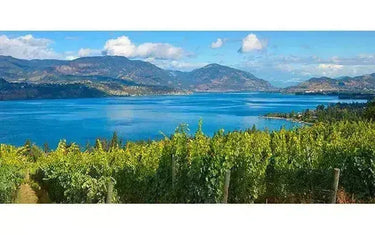 Top Wine Picks! Summerhill Pyramid Winery-My Wine Canada