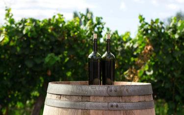 Top Wine Picks! Summer’s Necessary Goods-My Wine Canada