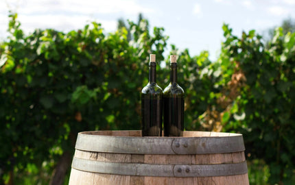 Top Wine Picks! Summer’s Necessary Goods-My Wine Canada