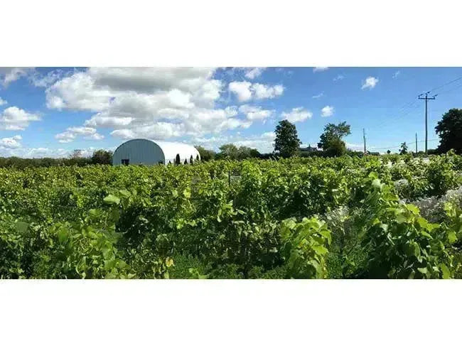 Top Wine Picks! Traynor Family Vineyard-My Wine Canada