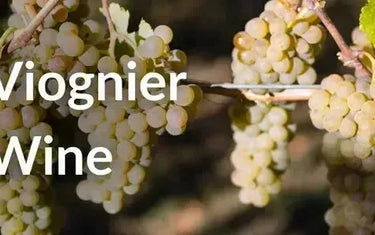 What Makes Canadian Viognier Unique-My Wine Canada