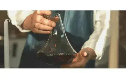 Wine 101: Decanting Young Reds-My Wine Canada