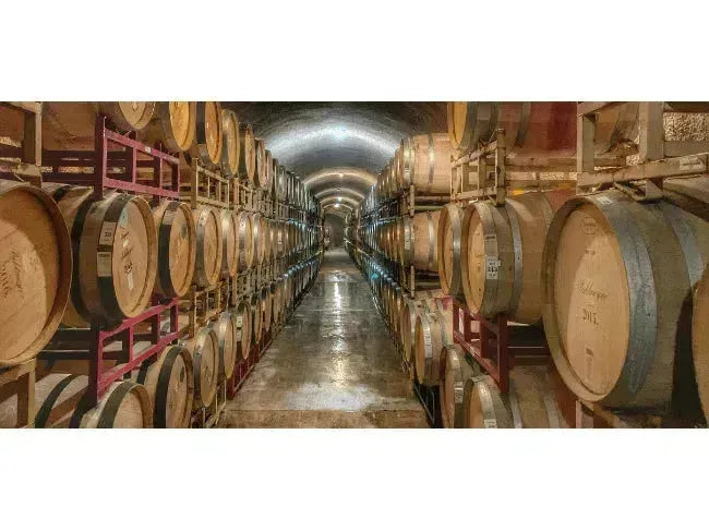 Wine 101: Roll Out The Barrel-My Wine Canada