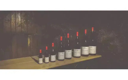 Wine 101: What Is Bottle Shock?-My Wine Canada