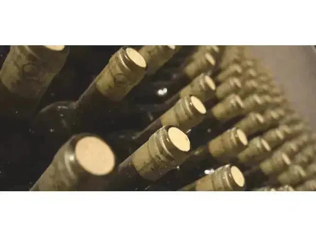 Wine 101: Wine Hacks-My Wine Canada