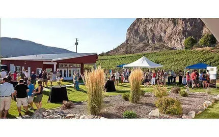 Wine Club Feature: Meyer Family Vineyards-My Wine Canada