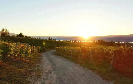 Wine Club Feature: Sperling Vineyards-My Wine Canada