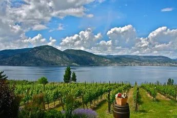 Bench 1775 Winery-My Wine Canada