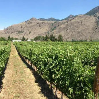 Clos du Soleil-My Wine Canada
