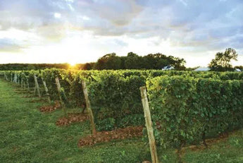 GreenLane Estate Winery-My Wine Canada