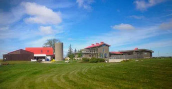 London Born Wine Co.-My Wine Canada