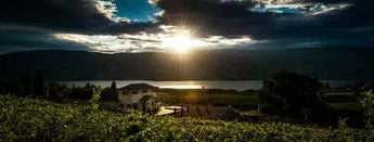 Lunessence Winery-My Wine Canada