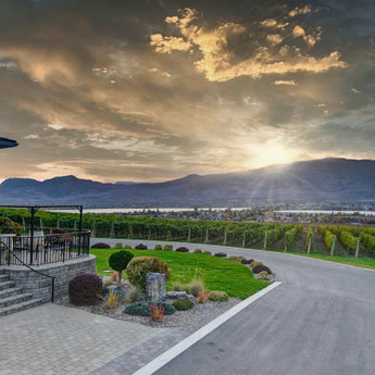 Moon Curser Vineyards-My Wine Canada