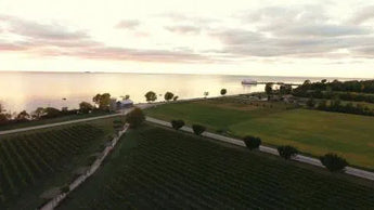 Pelee Island Winery-My Wine Canada
