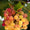 Pinot Blanc-My Wine Canada