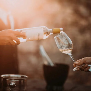Rosé Wine-My Wine Canada