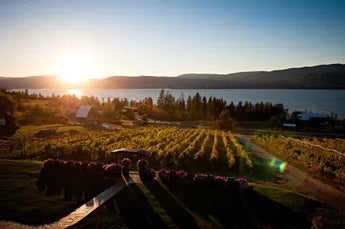 Summerhill Pyramid Winery-My Wine Canada
